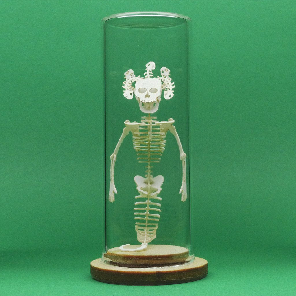 Glass dome supplied with all-in-one kit