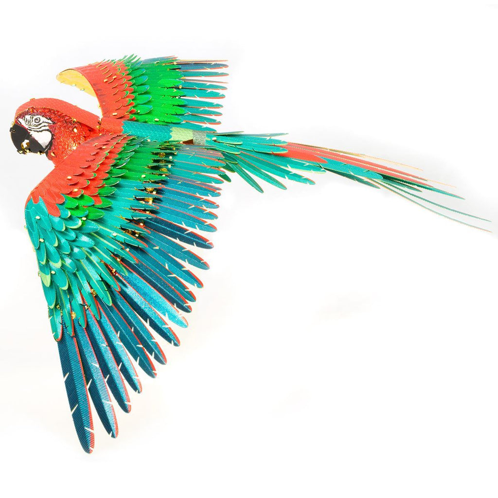Jubilee Macaw