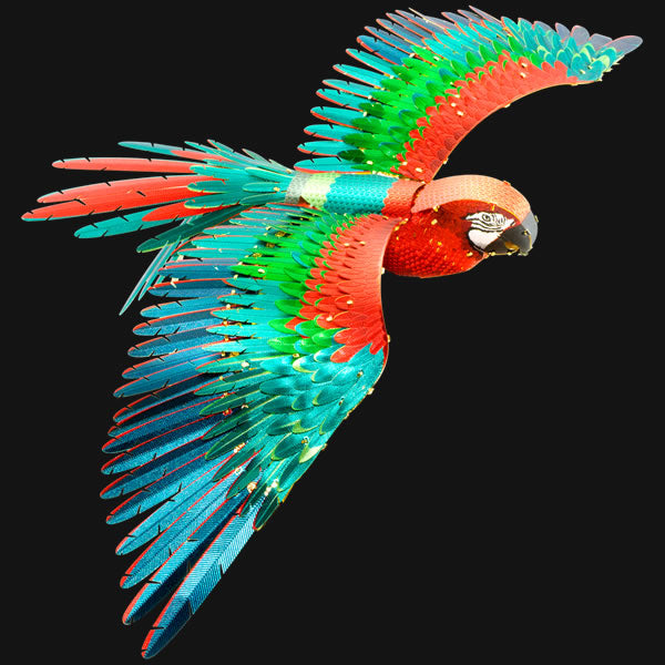 Jubilee Macaw