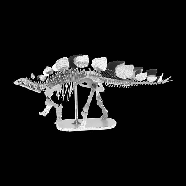 Stegosaurus Skeleton