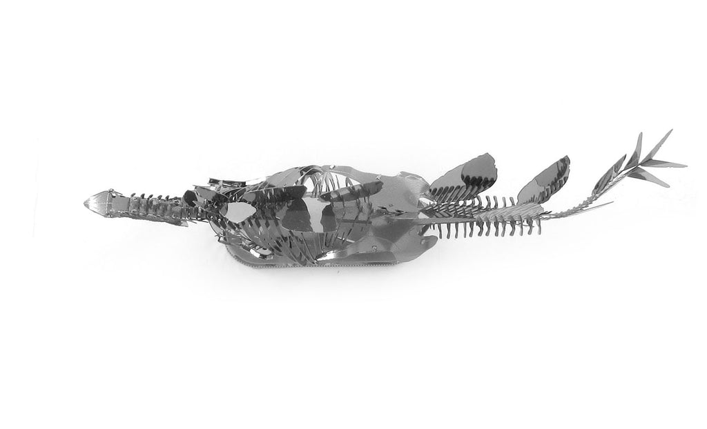 Stegosaurus Skeleton