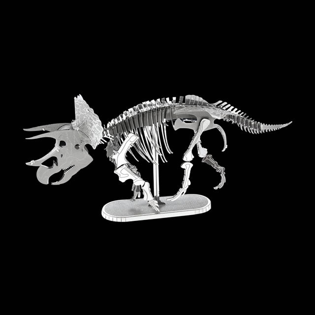 Triceratops Skeleton