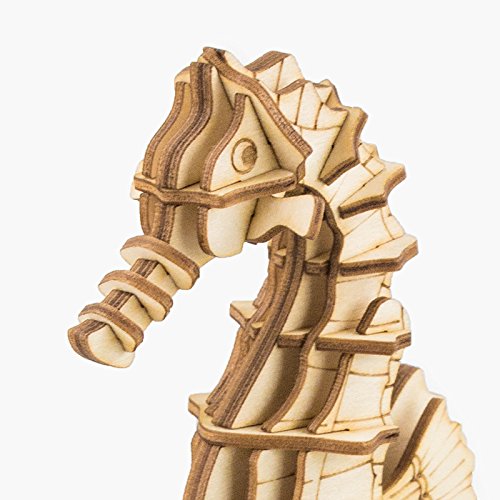 Seahorse