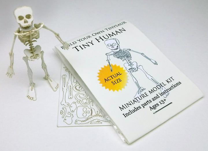 Tinysaur: Tiny Human – DIY Kits