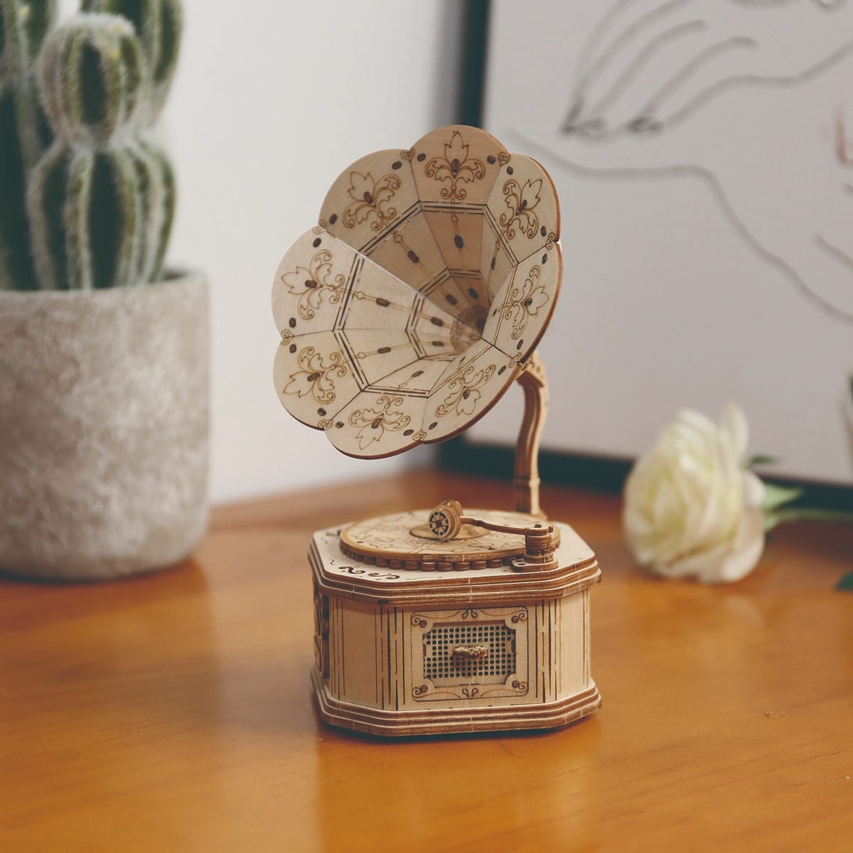 Gramophone – DIY Kits