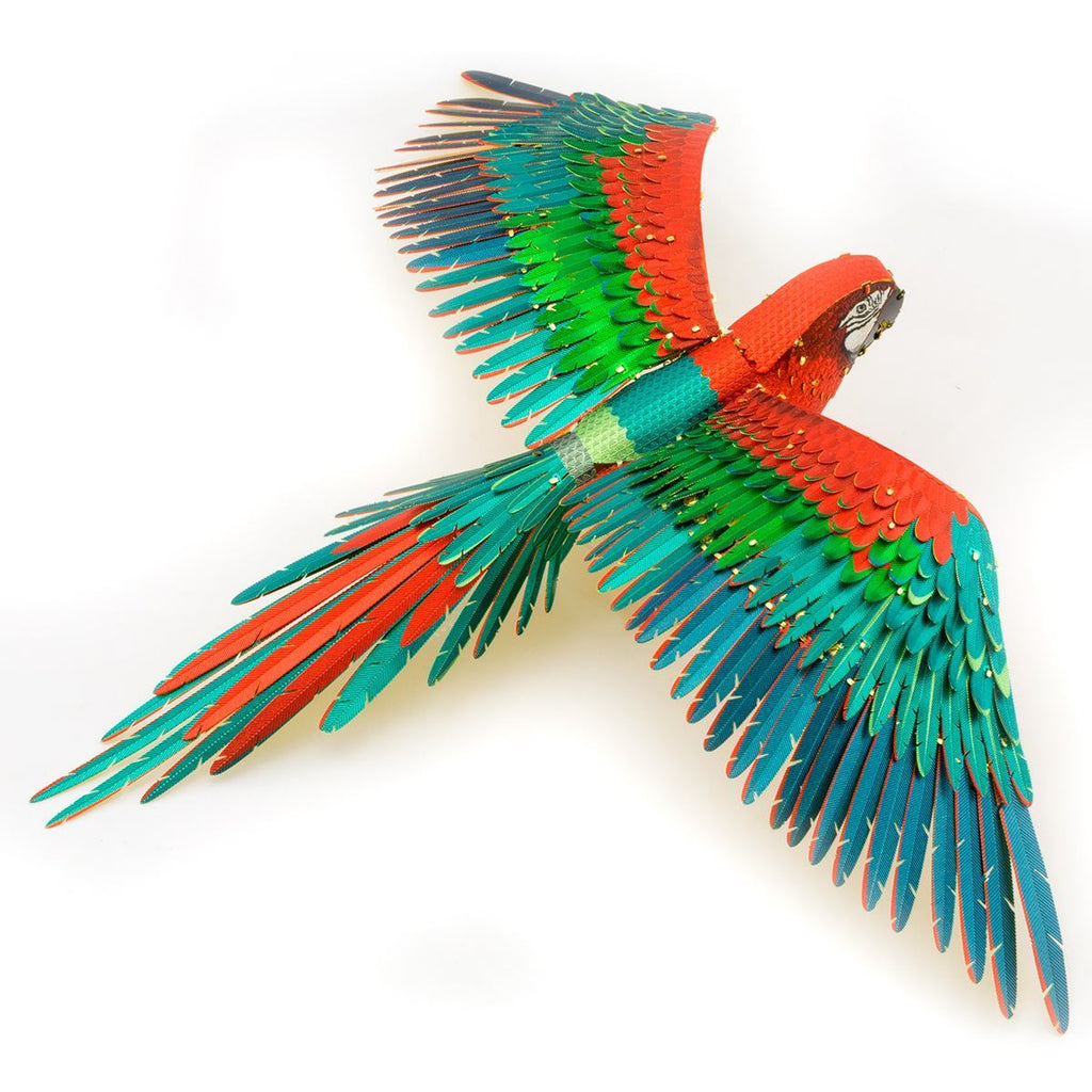 Jubilee Macaw