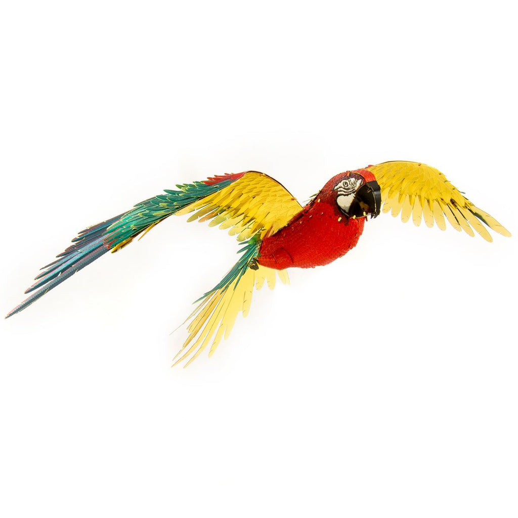 Jubilee Macaw