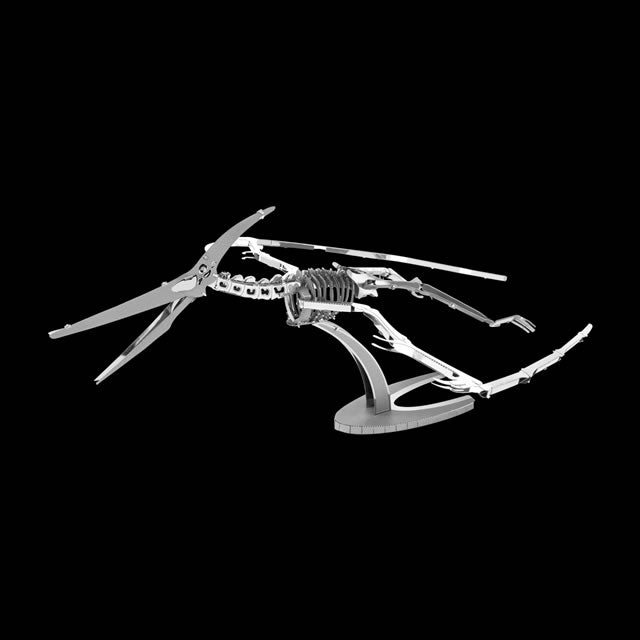 Pteranodon Skeleton