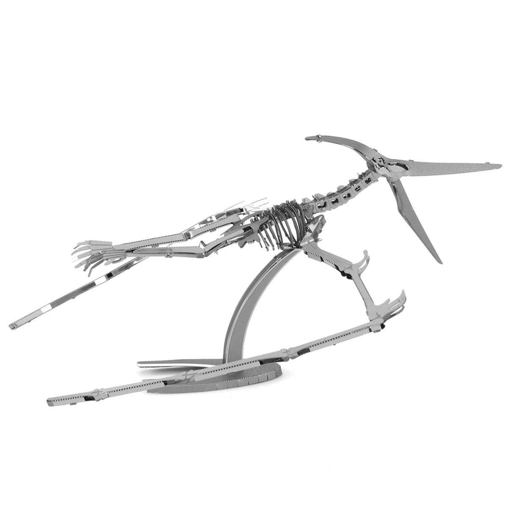 Pteranodon Skeleton