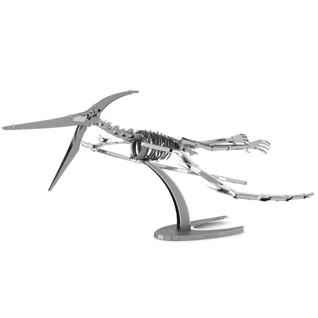 Pteranodon Skeleton