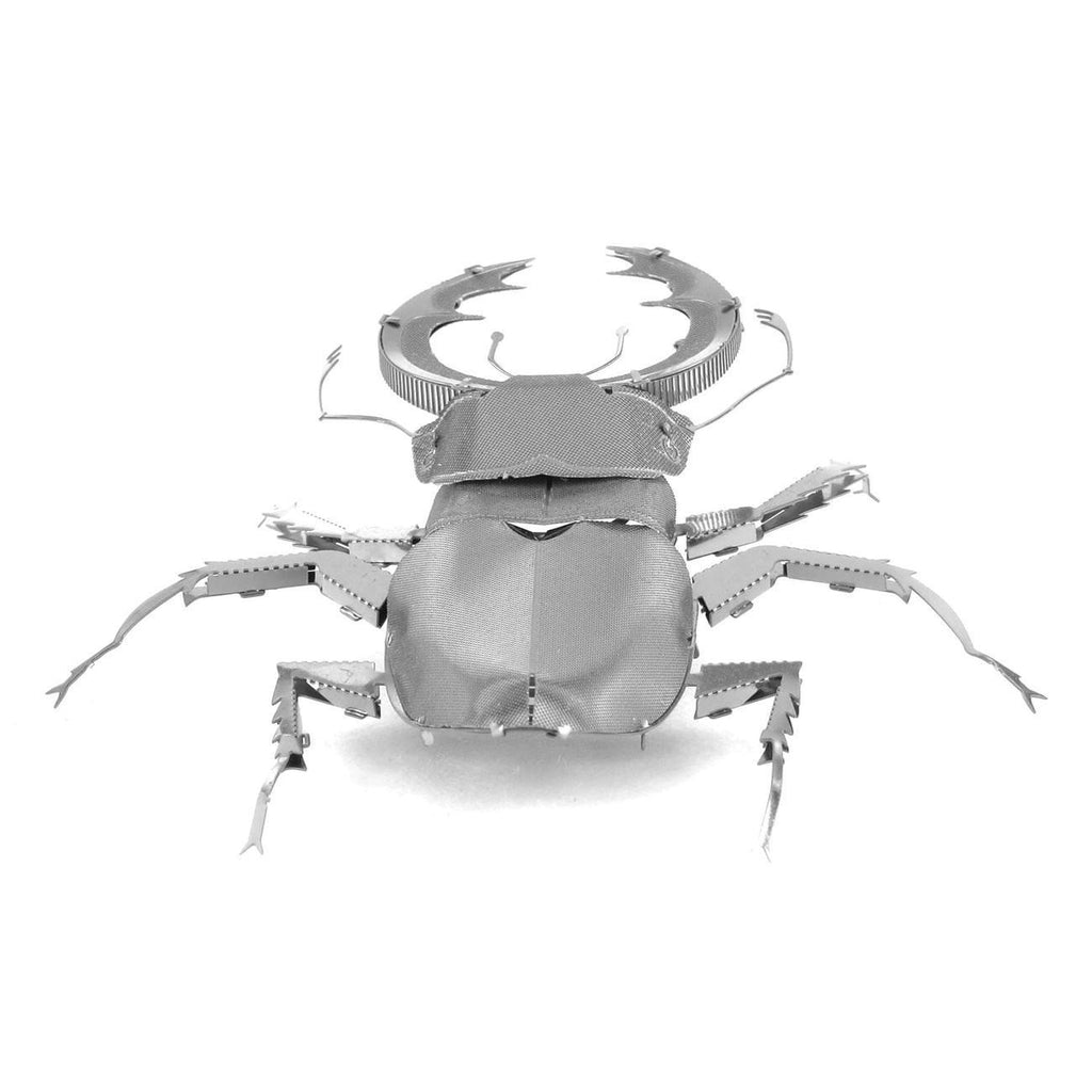 Stag Beetle