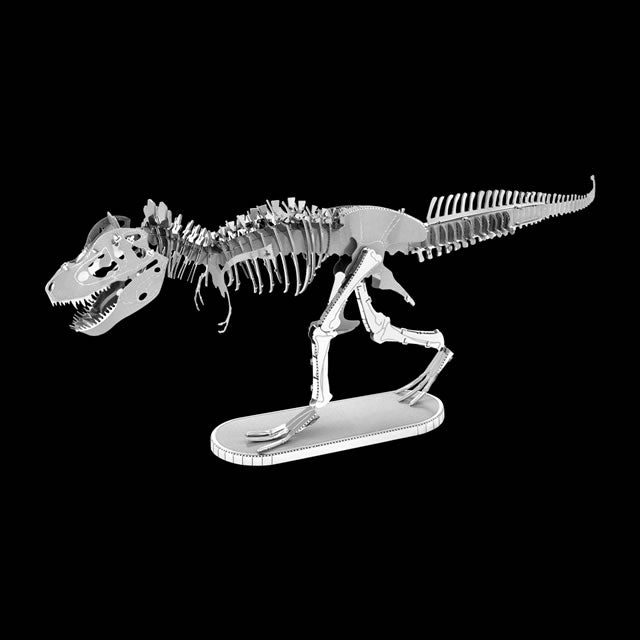 Tyrannosaurus Rex Skeleton